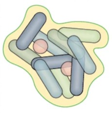 Nature Microbiology Review